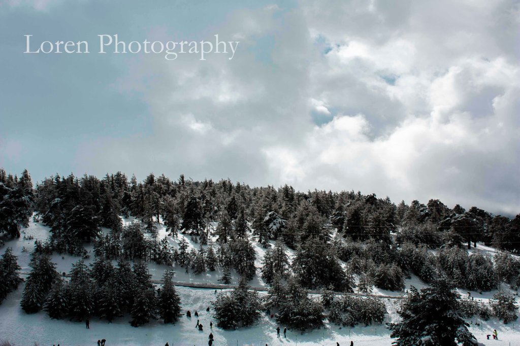 Navacerrada paisaje Febrero2015