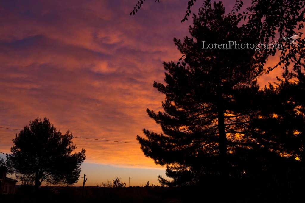 BLOG _ cielo rosa 23 octubre - LorenPhotography_3