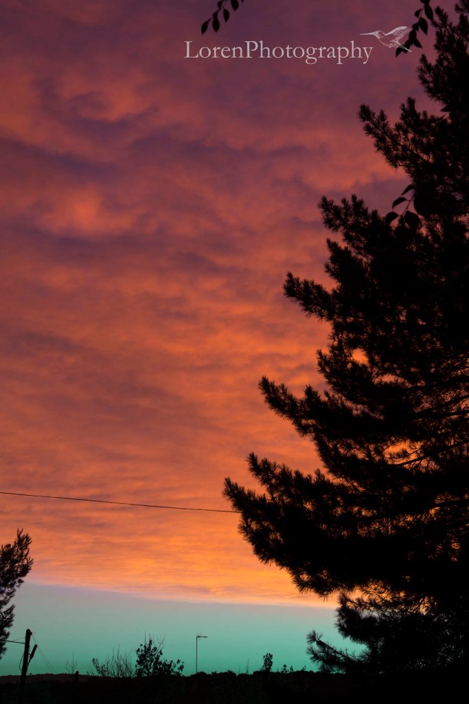 BLOG_cielo rosa 23 octubre - LorenPhotography_2