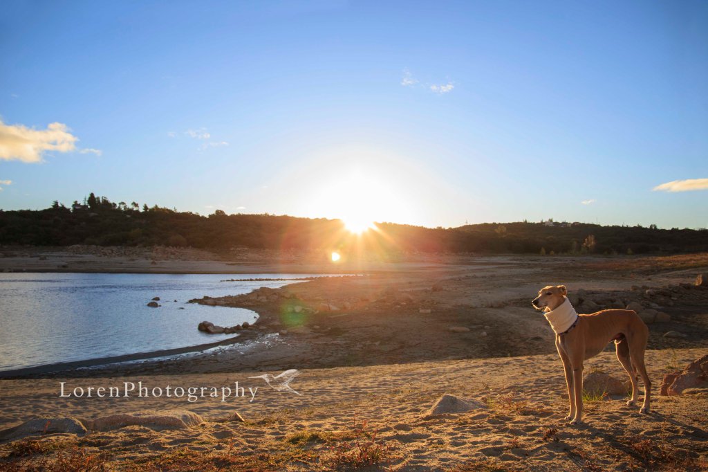 Amanece con Leo 2-11-15 - LorenPhotography-Firmada
