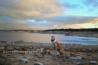 Amanece con Leo 2-11-15 -  LorenPhotography_3-Firmada