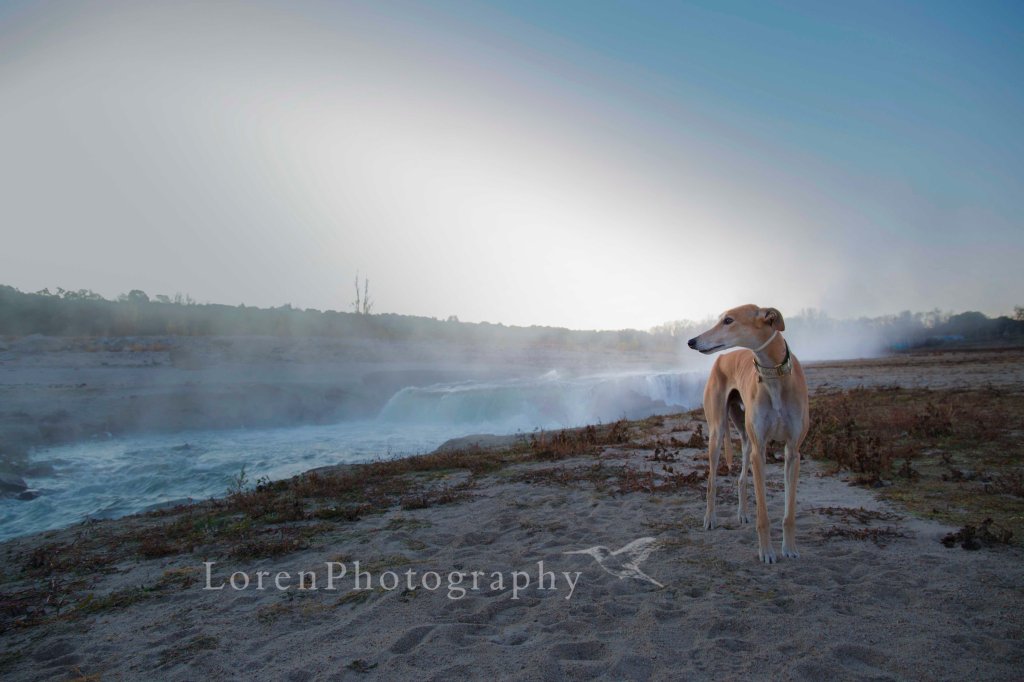 AmaneceConLeo 5-12-15 -  LorenPhotography_Firmada