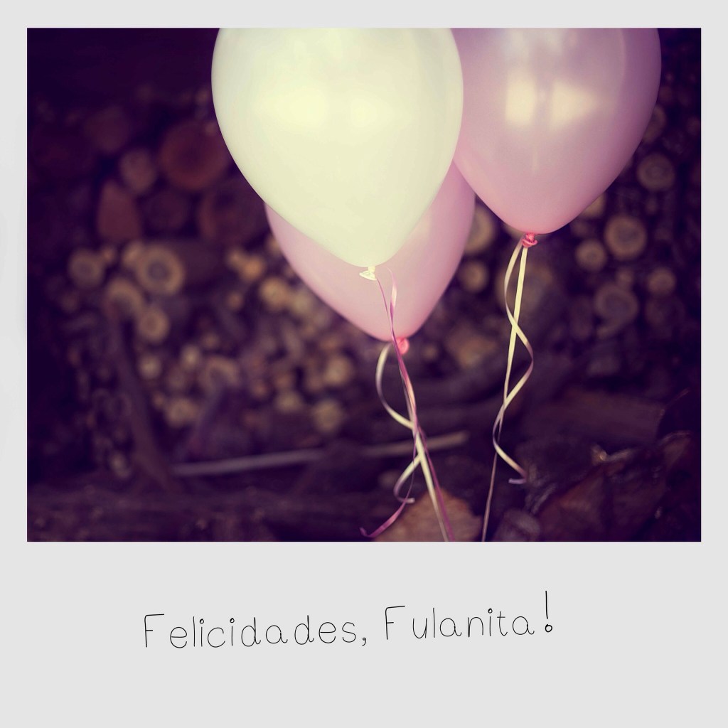 Regalo lorenphotography