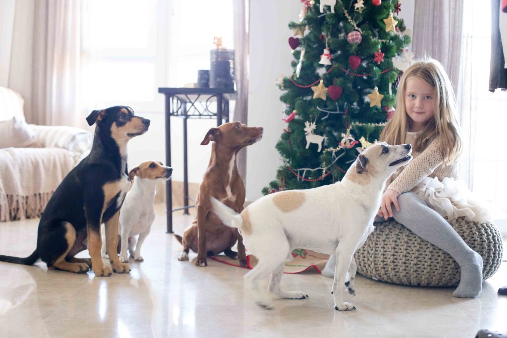 sesion-familia-navidad-madrid-5